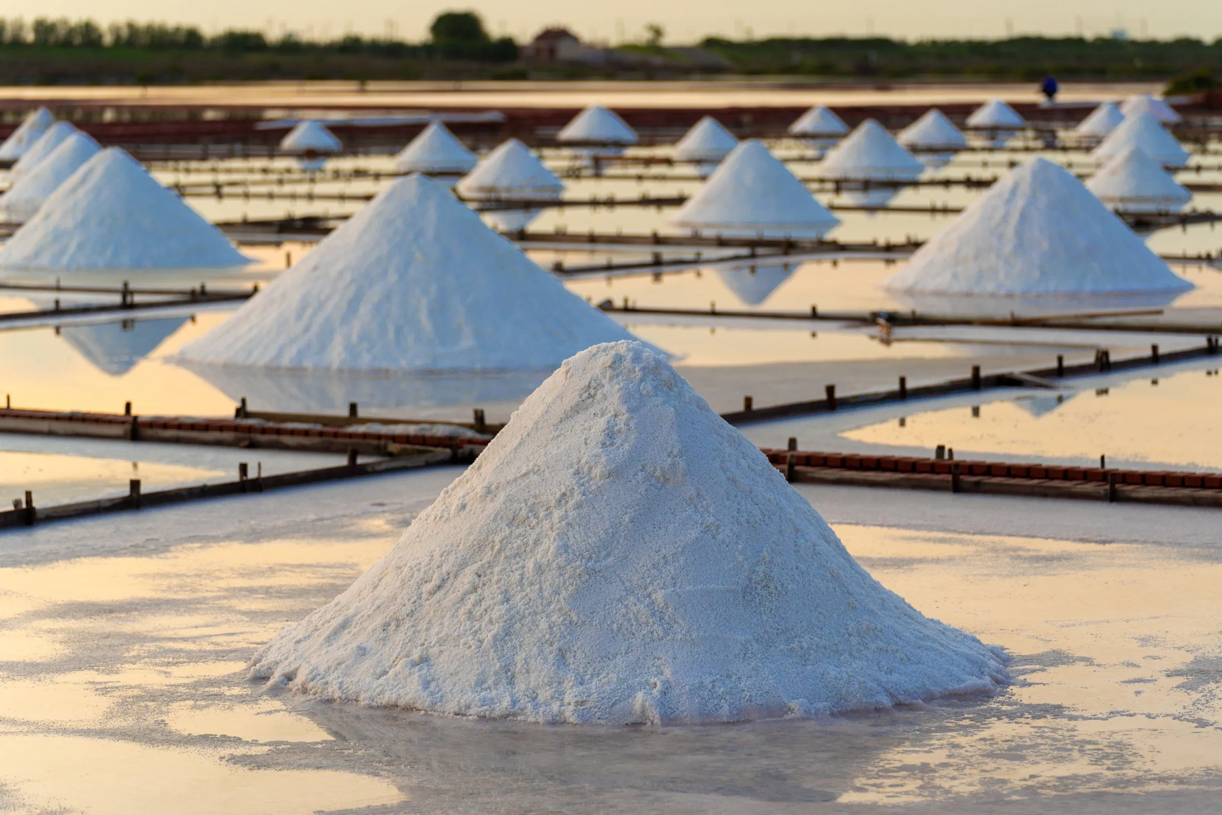 Cones of freshly harvested salt standing on the pan banks in evening light