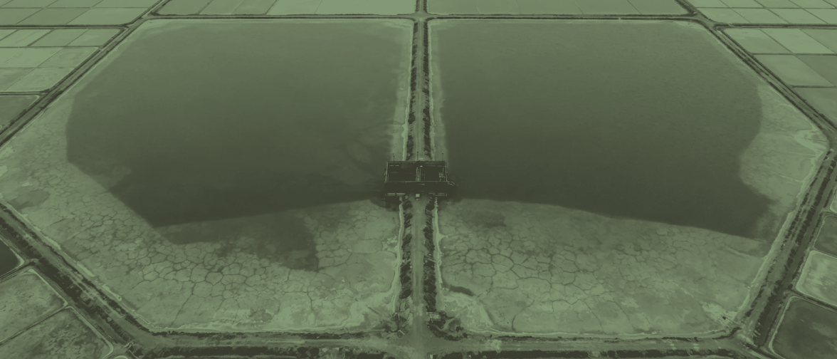 Condensers 1 and 2 from 300 metres: two very large shallow pans divided by one long earth bank with a wooden weir box set into it.