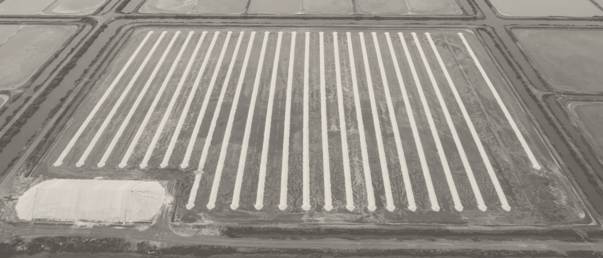 A drained crystalliser from 300 metres after raking, the salt lying in long parallel ridges across the floor with wet pan showing between them.